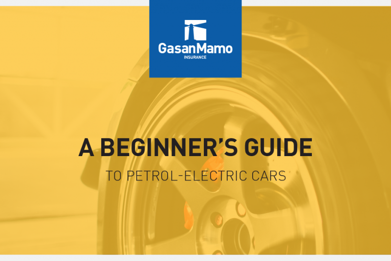 A Beginner’s Guide to Petrol-Electric Cars