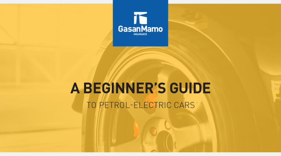 A Beginner’s Guide to Petrol-Electric Cars