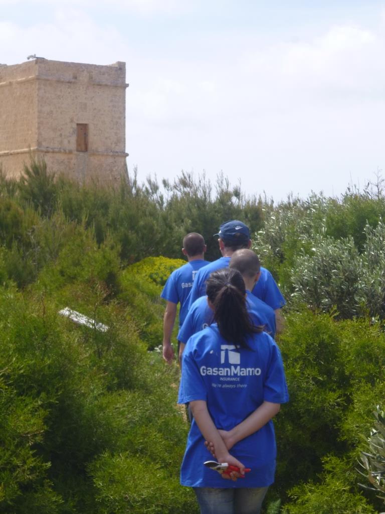 GasanMamo Insurance helps Gaia Foundation with its annual cleanup