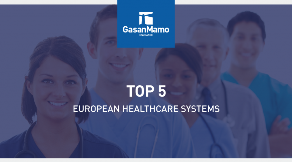 The European Health Care System