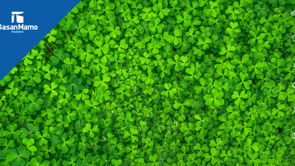 St. Patrick’s Day Traditions Around the World